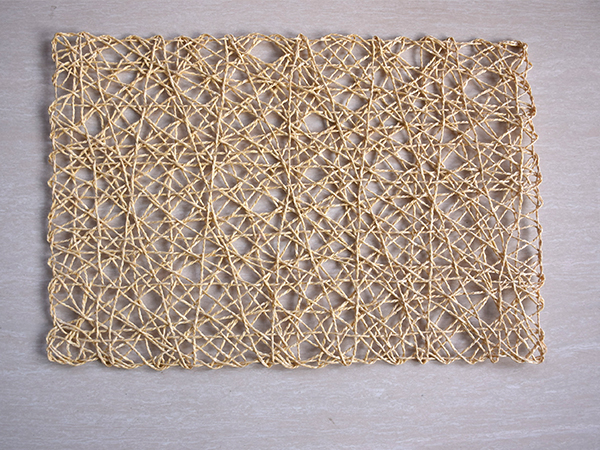 CX-PM010