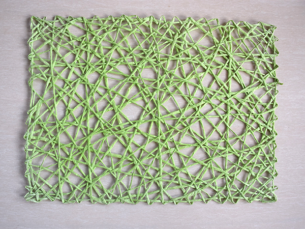 CX-PM009